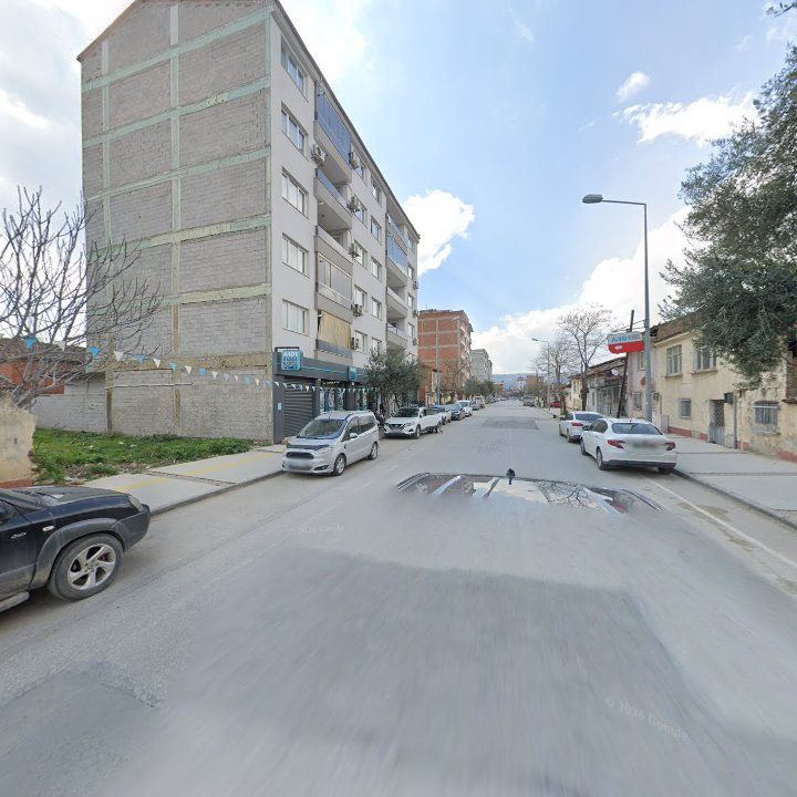 Fotoğraf 6