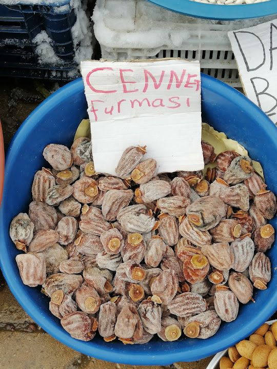 Fotoğraf 16