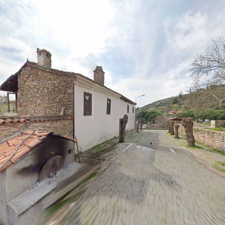 Fotoğraf 10