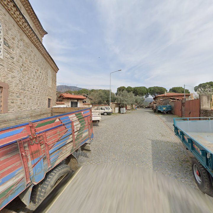 Fotoğraf 8