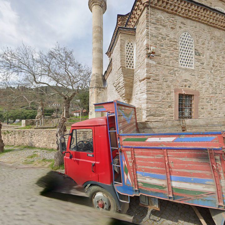 Fotoğraf 7