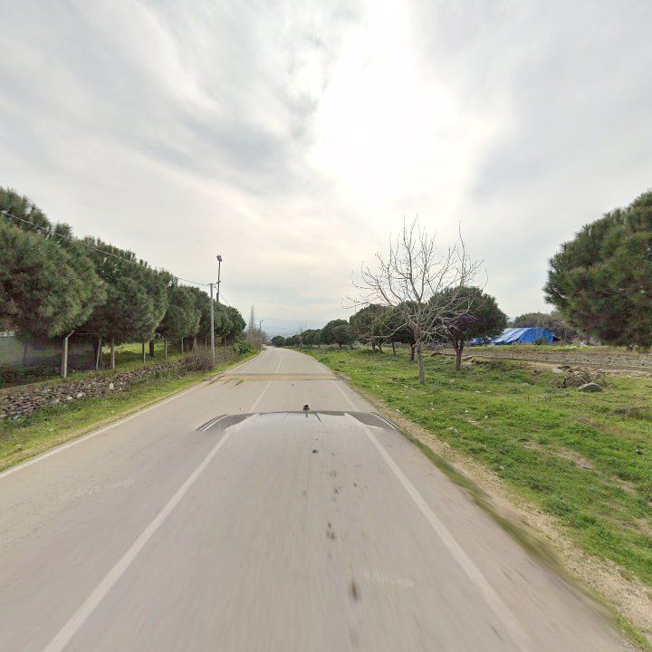 Fotoğraf 6