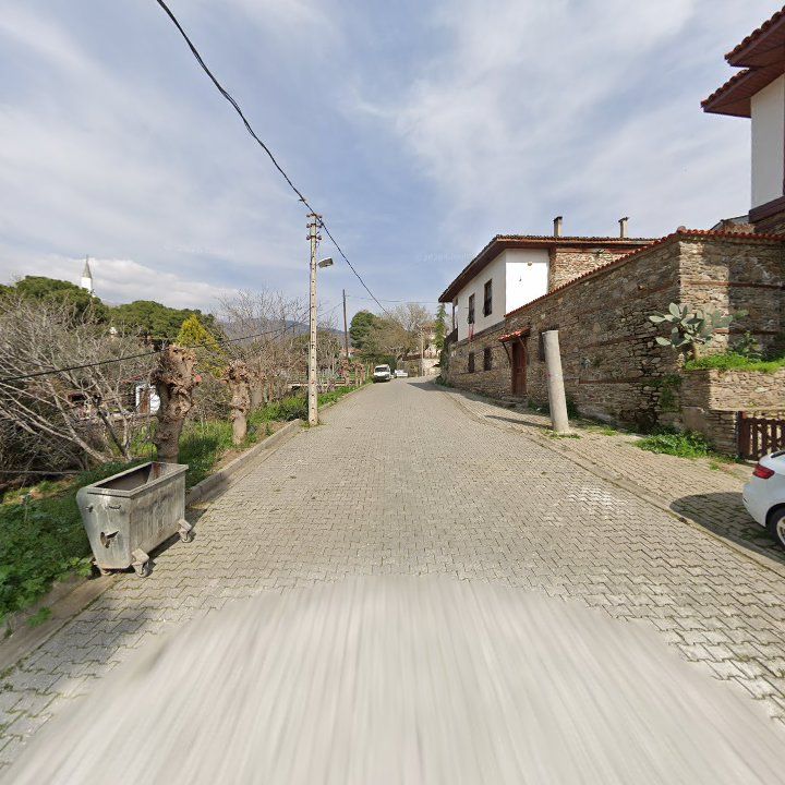 Fotoğraf 7