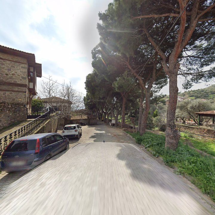 Fotoğraf 9