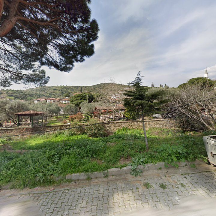 Fotoğraf 6