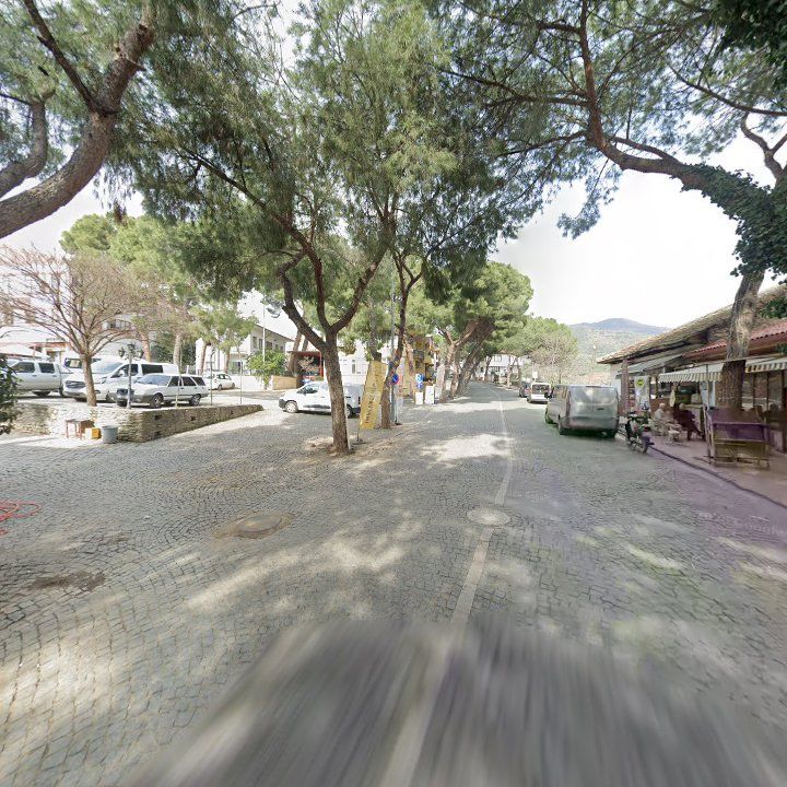Fotoğraf 8