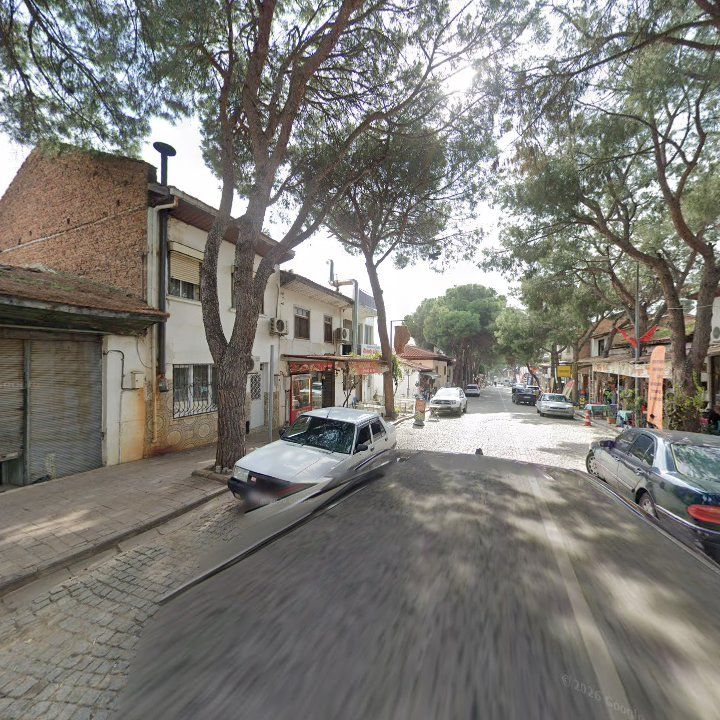 Fotoğraf 10