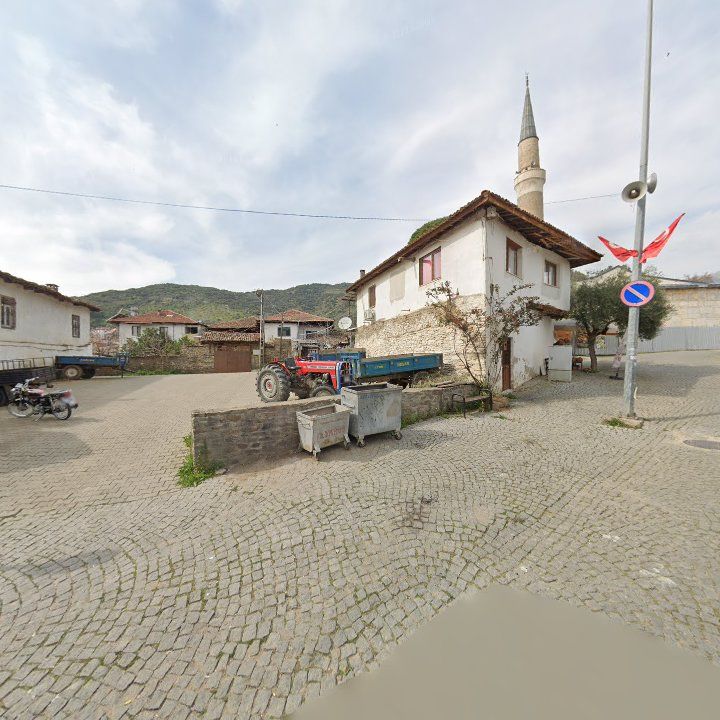 Fotoğraf 6