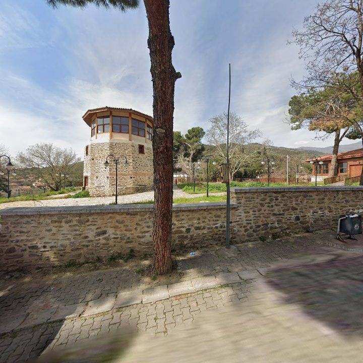Fotoğraf 10