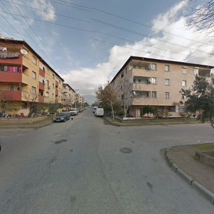 Fotoğraf 7