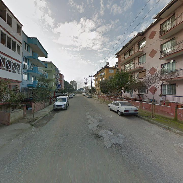 Fotoğraf 5