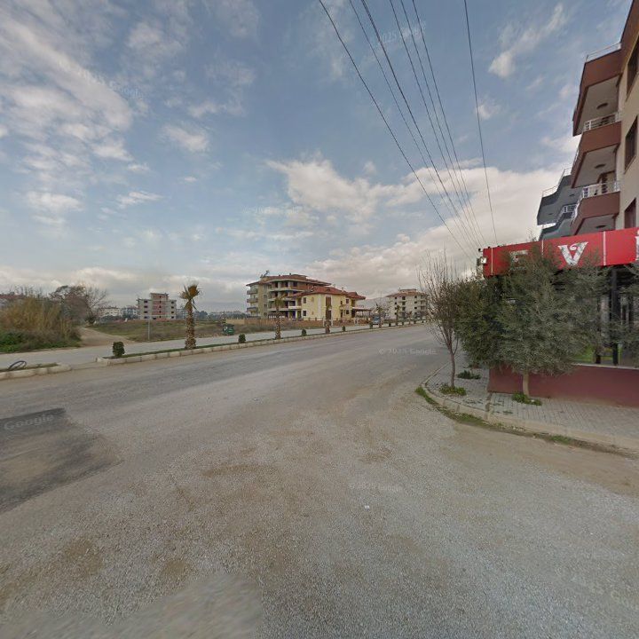 Fotoğraf 8