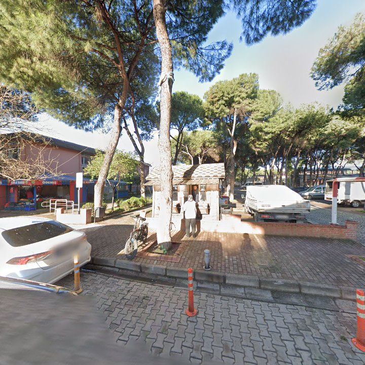 Fotoğraf 6