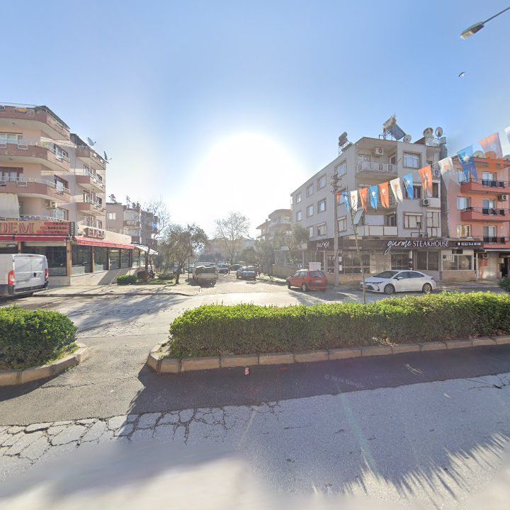 Fotoğraf 7