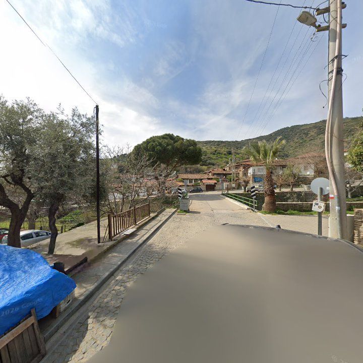 Fotoğraf 9