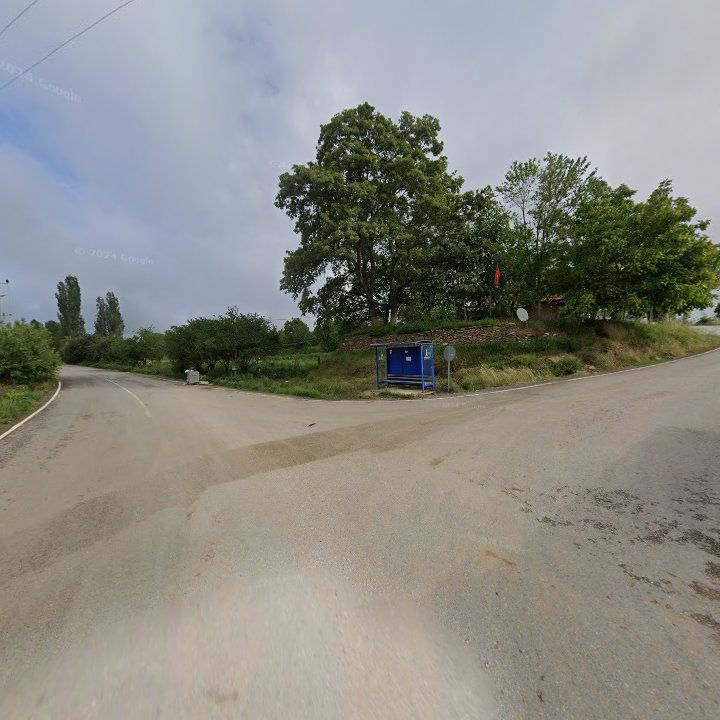 Fotoğraf 8