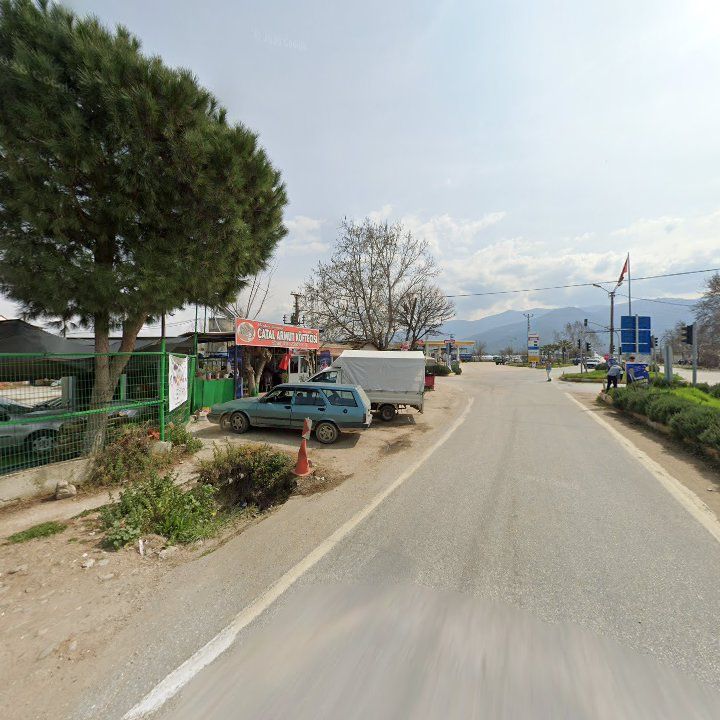 Fotoğraf 4