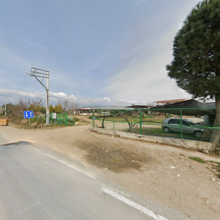 Fotoğraf 7