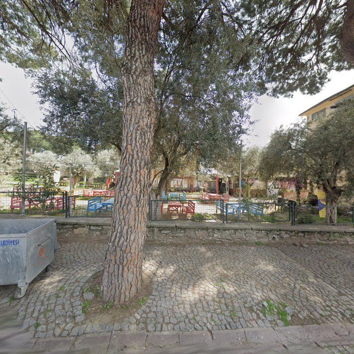 Fotoğraf 3