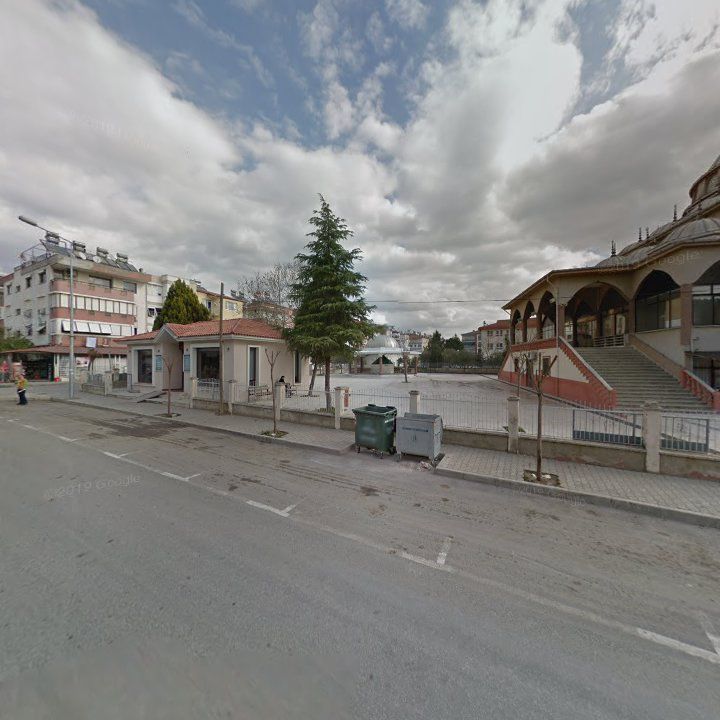 Fotoğraf 6