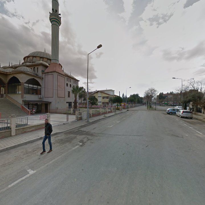 Fotoğraf 7