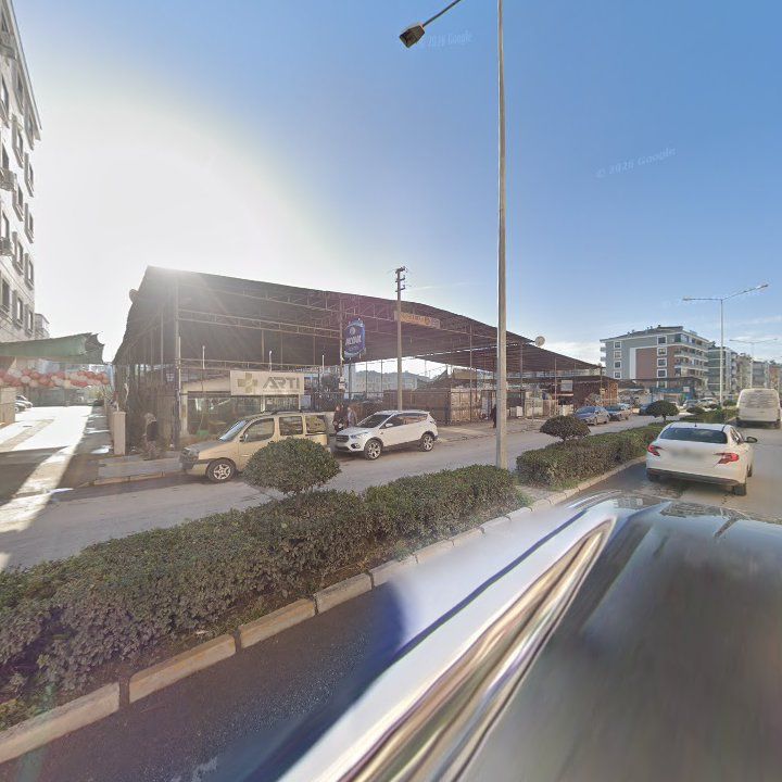 Fotoğraf 7