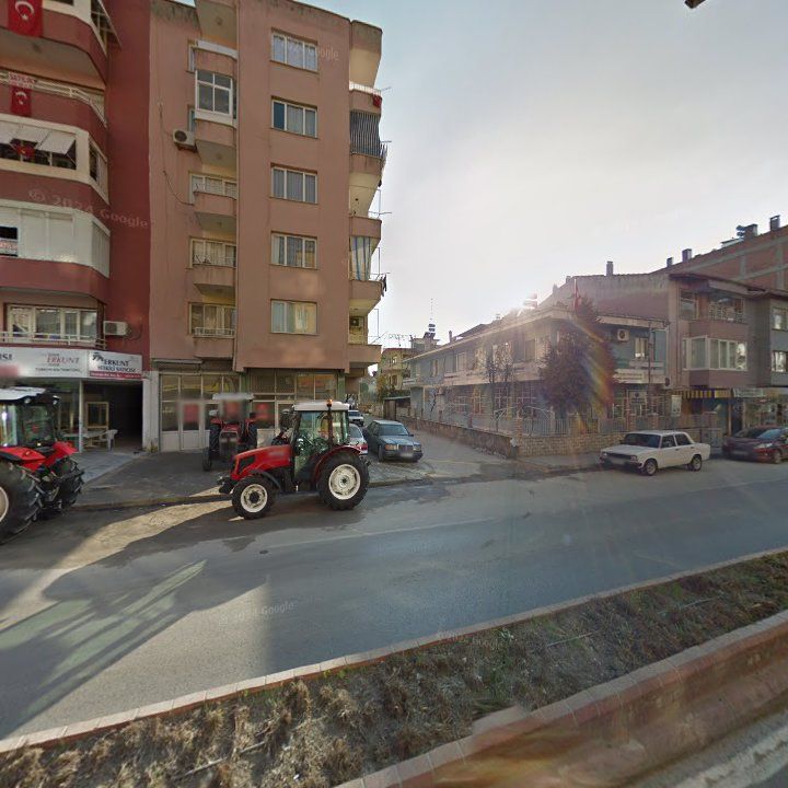 Fotoğraf 7