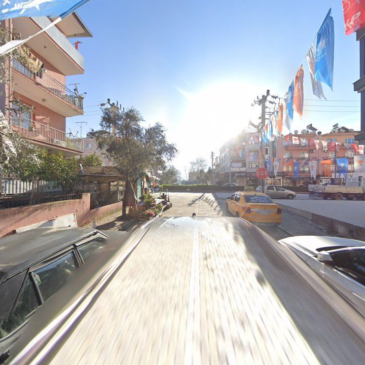 Fotoğraf 9