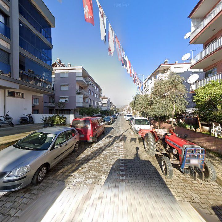 Fotoğraf 7