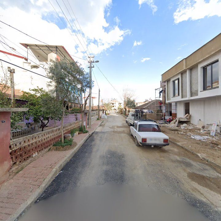 Fotoğraf 7