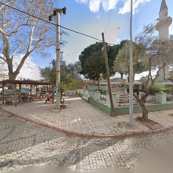 Fotoğraf 6