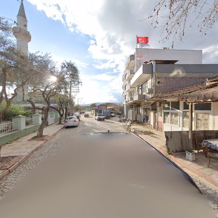 Fotoğraf 7