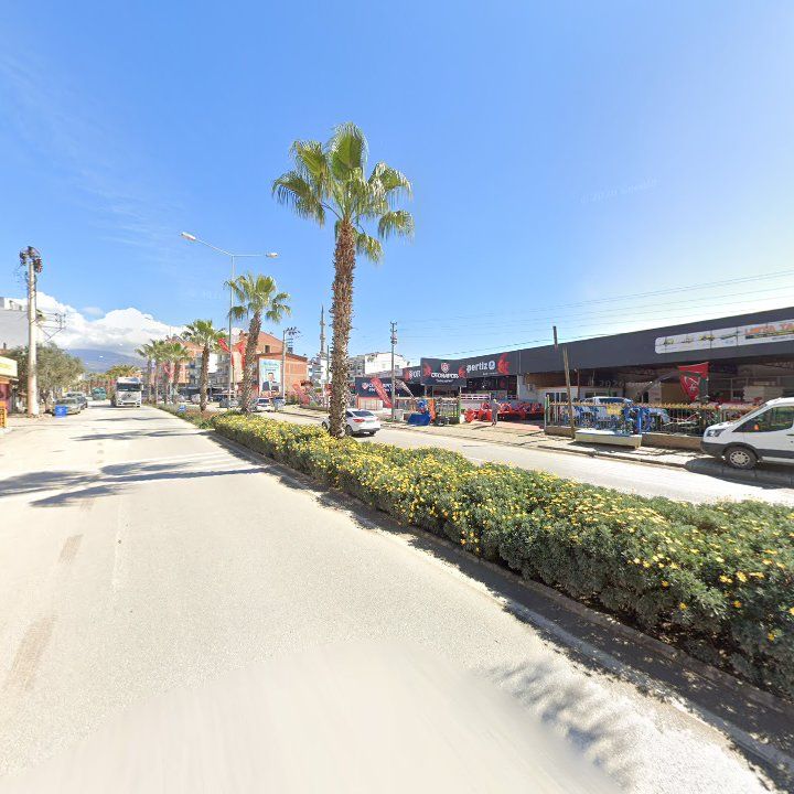 Fotoğraf 8