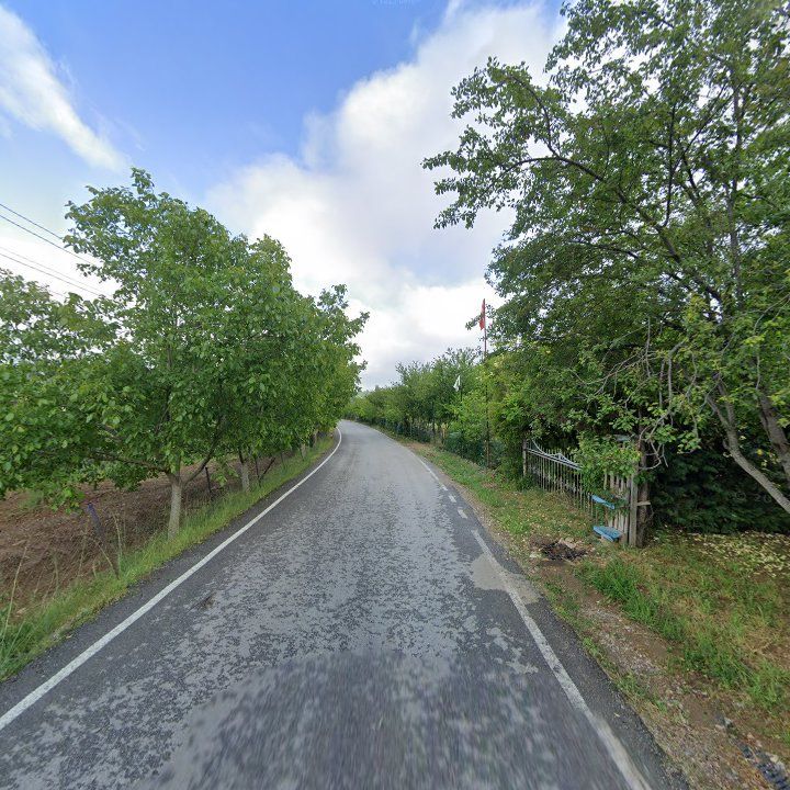Fotoğraf 9