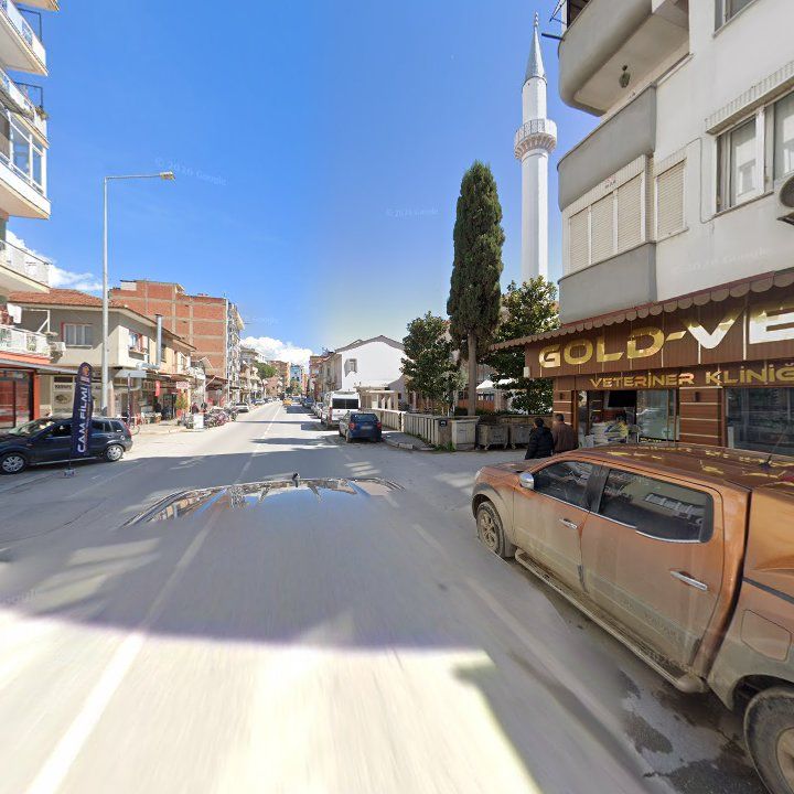 Fotoğraf 5
