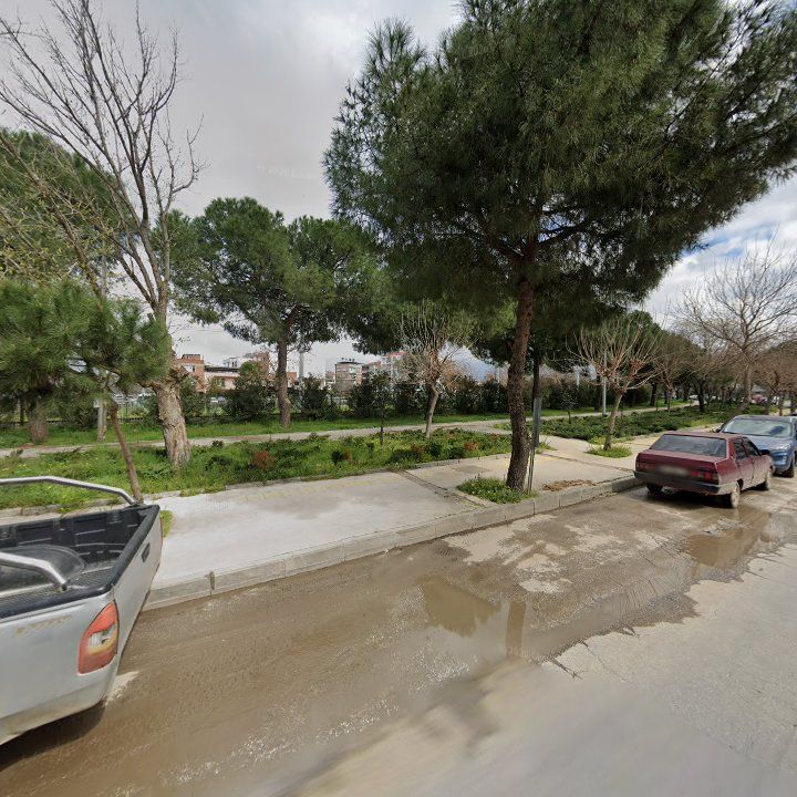 Fotoğraf 6