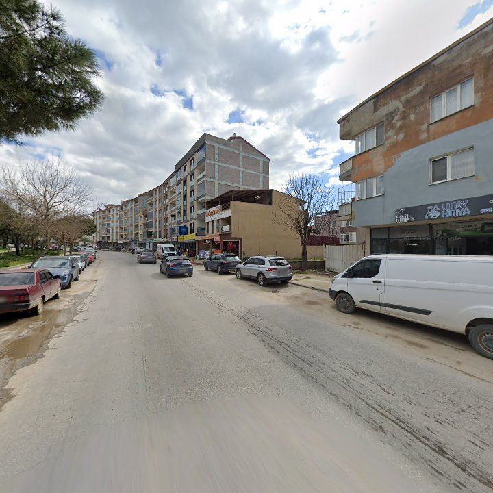 Fotoğraf 7
