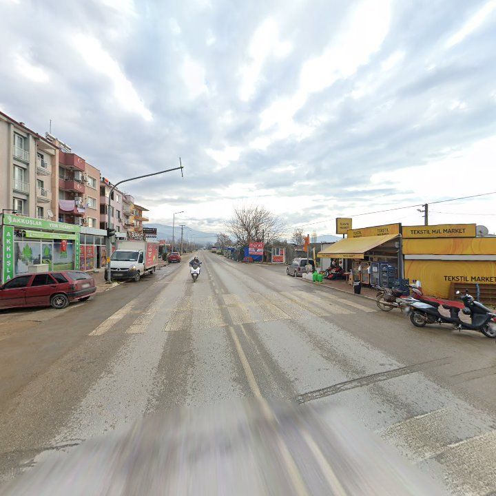 Fotoğraf 6