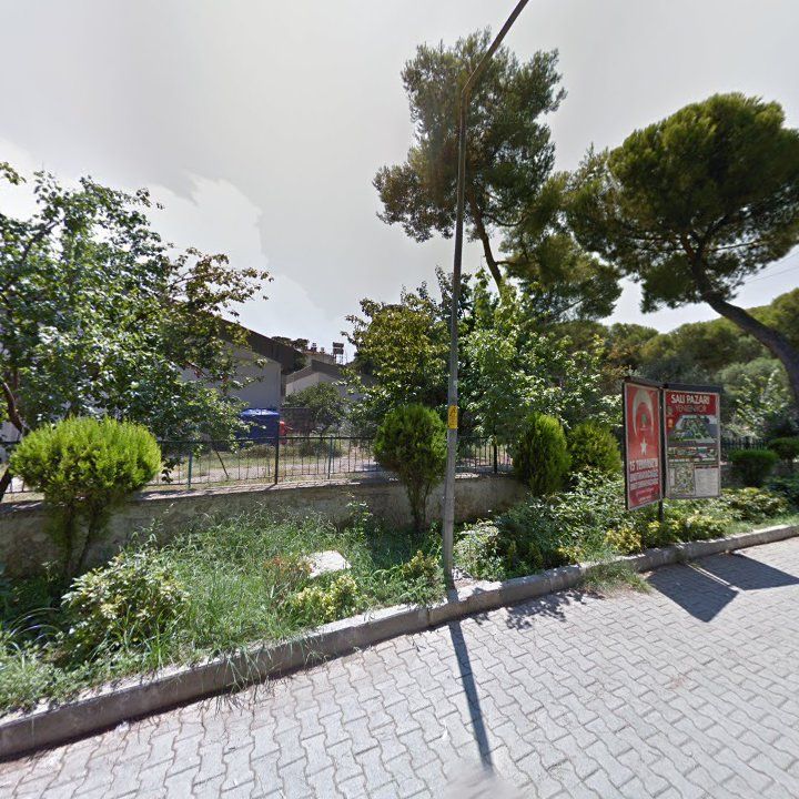 Fotoğraf 4