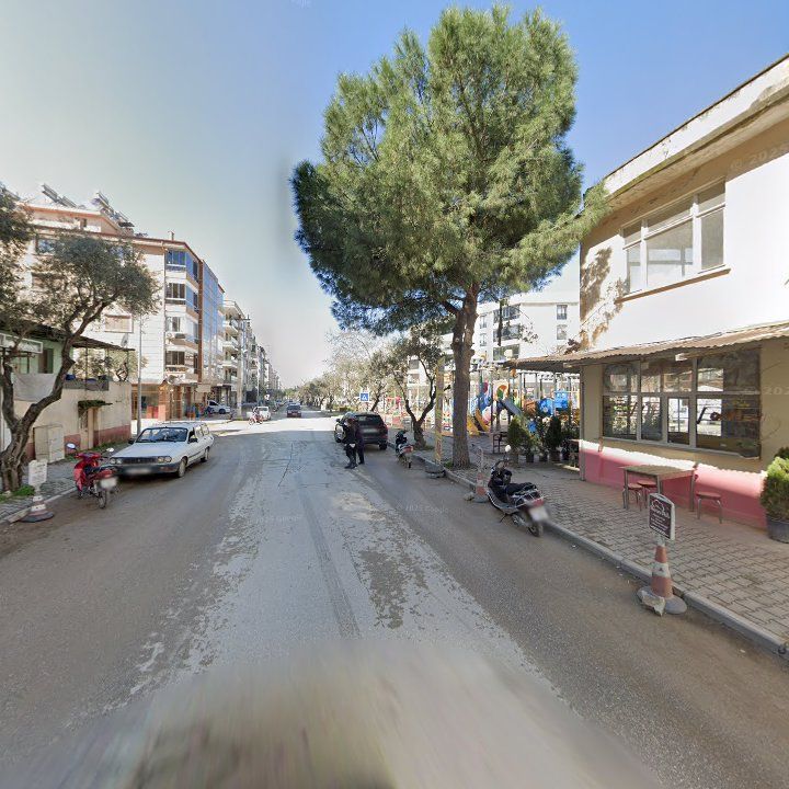 Fotoğraf 8