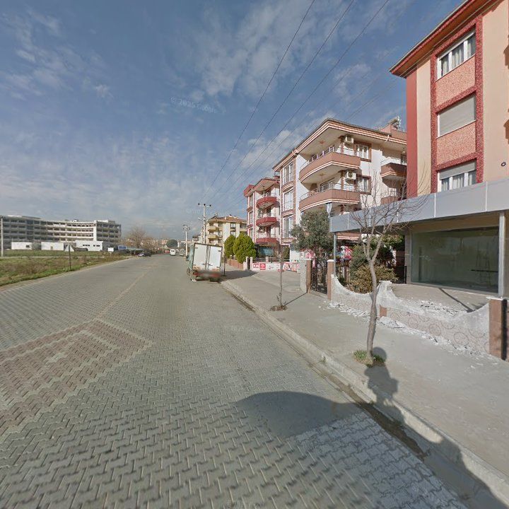 Fotoğraf 9
