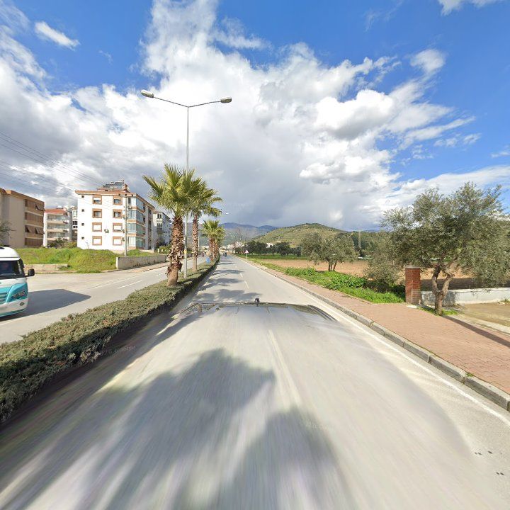 Fotoğraf 9