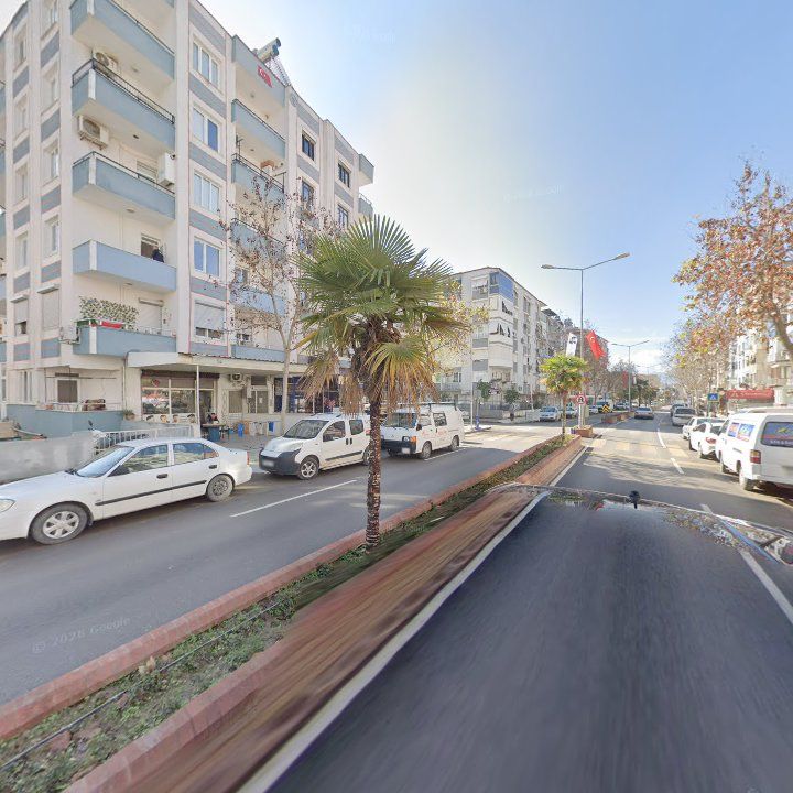 Fotoğraf 8