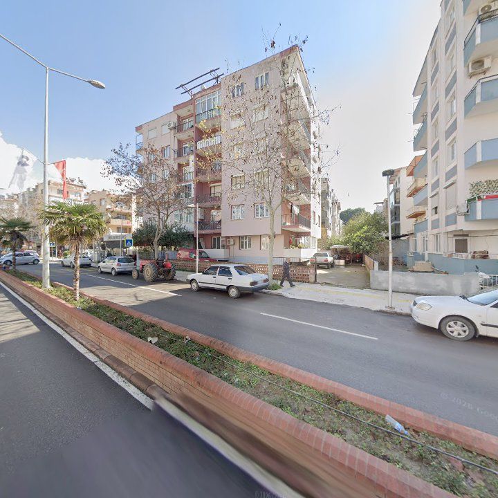 Fotoğraf 7