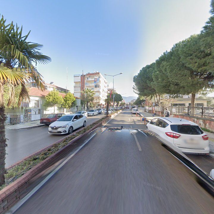 Fotoğraf 9