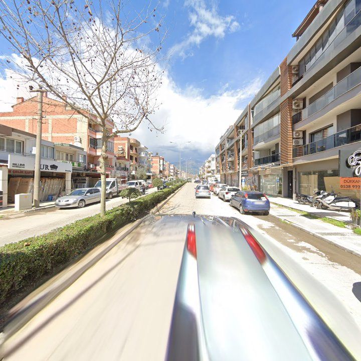 Fotoğraf 6