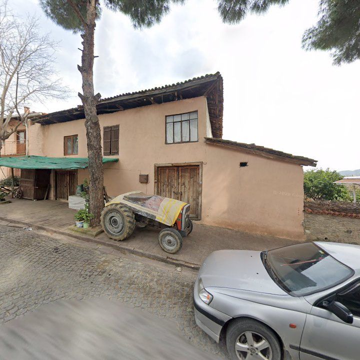 Fotoğraf 8
