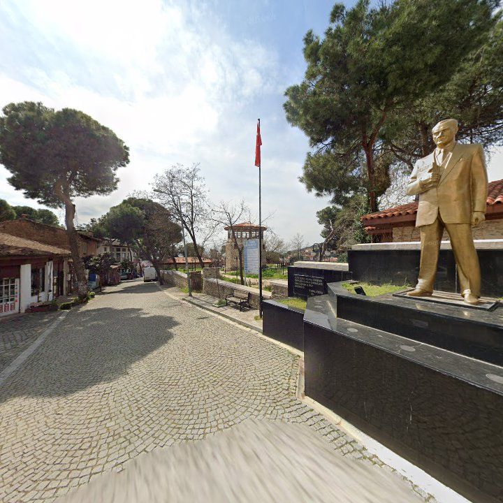 Fotoğraf 8