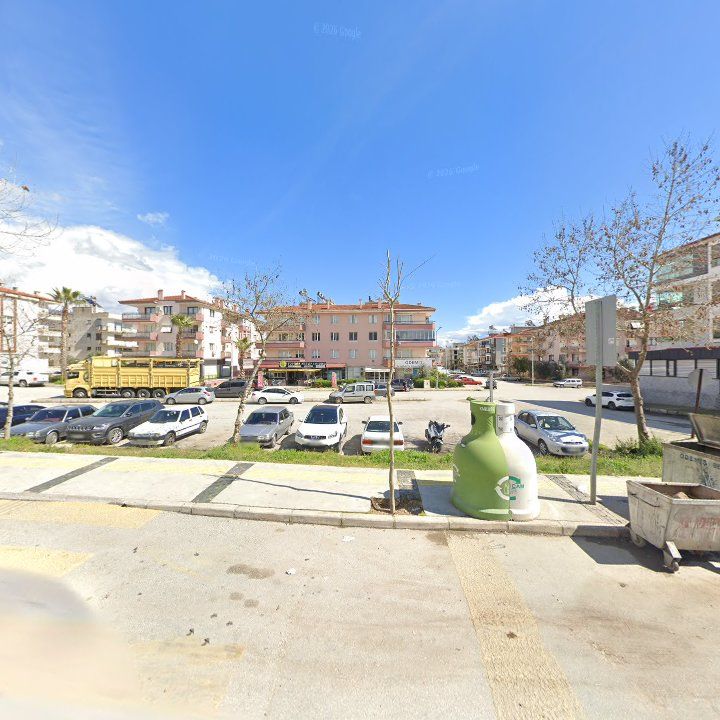 Fotoğraf 8
