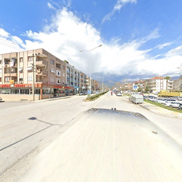 Fotoğraf 9